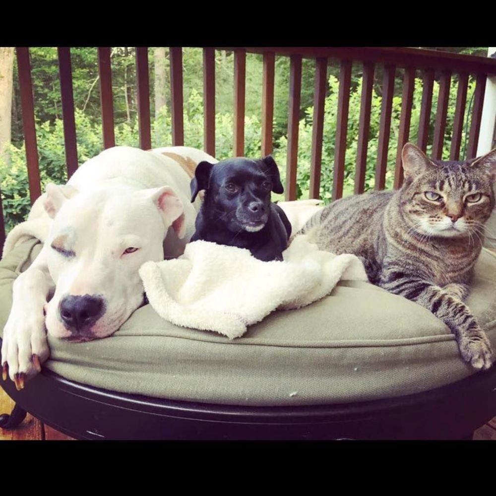 Meet your Posher, Scarlet